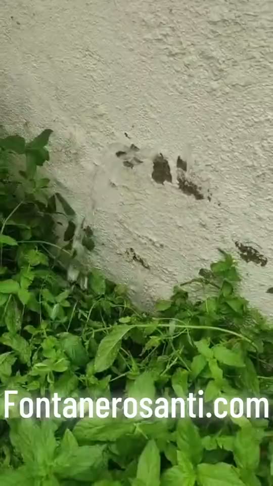 Trabajo de detección y reparación de fuga.